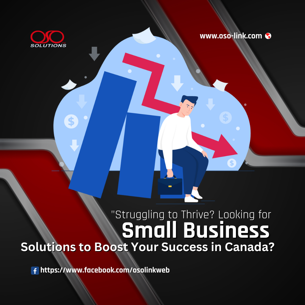 Small-Business-Solutions-OSOlink-Prince-George